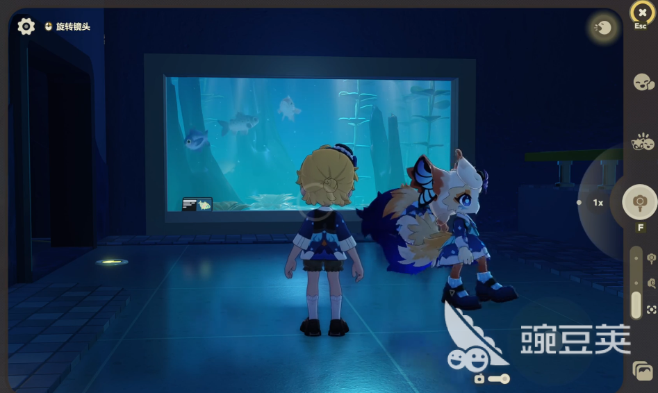 星布谷地幻雪怎么样 星布谷地幻雪详细介绍