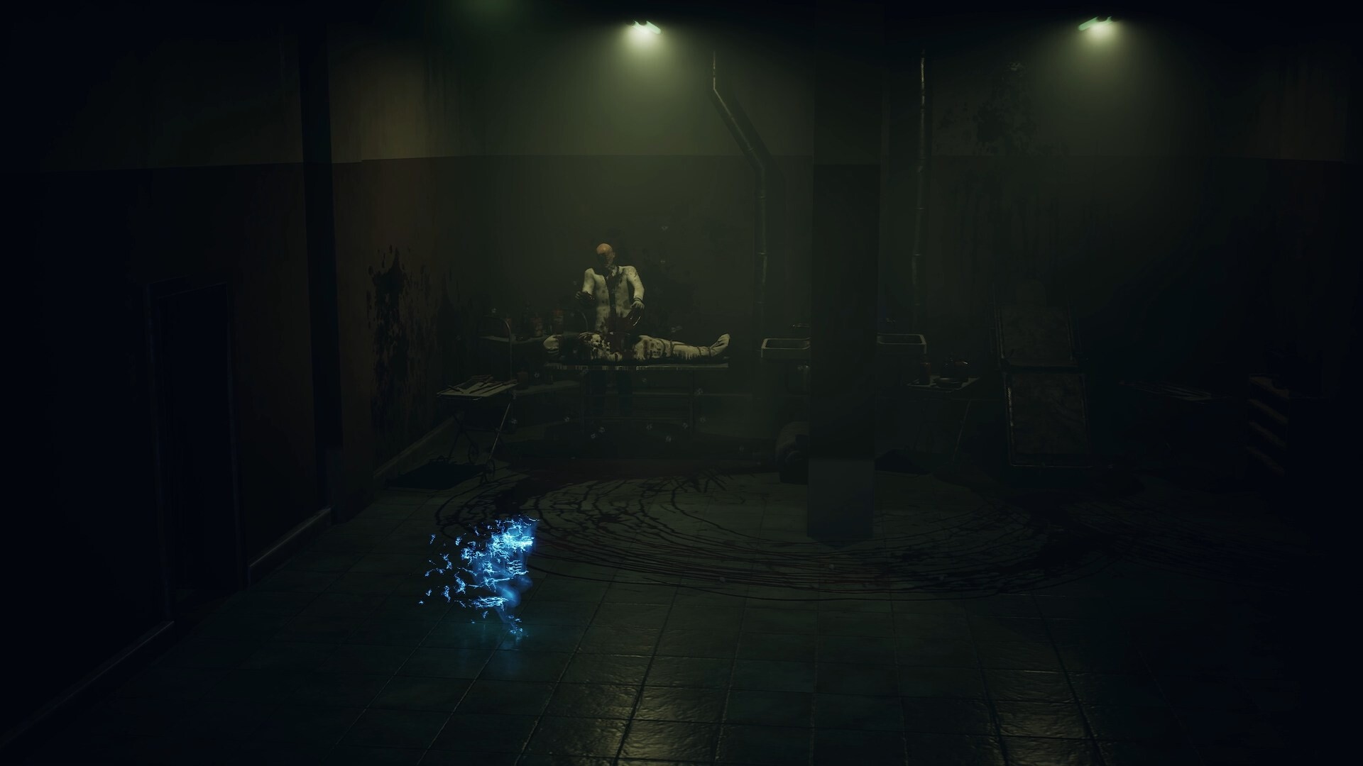 寂静之国的波斯菊好玩吗 寂静之国的波斯菊玩法简介