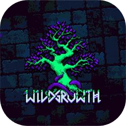 野蛮生长加速器