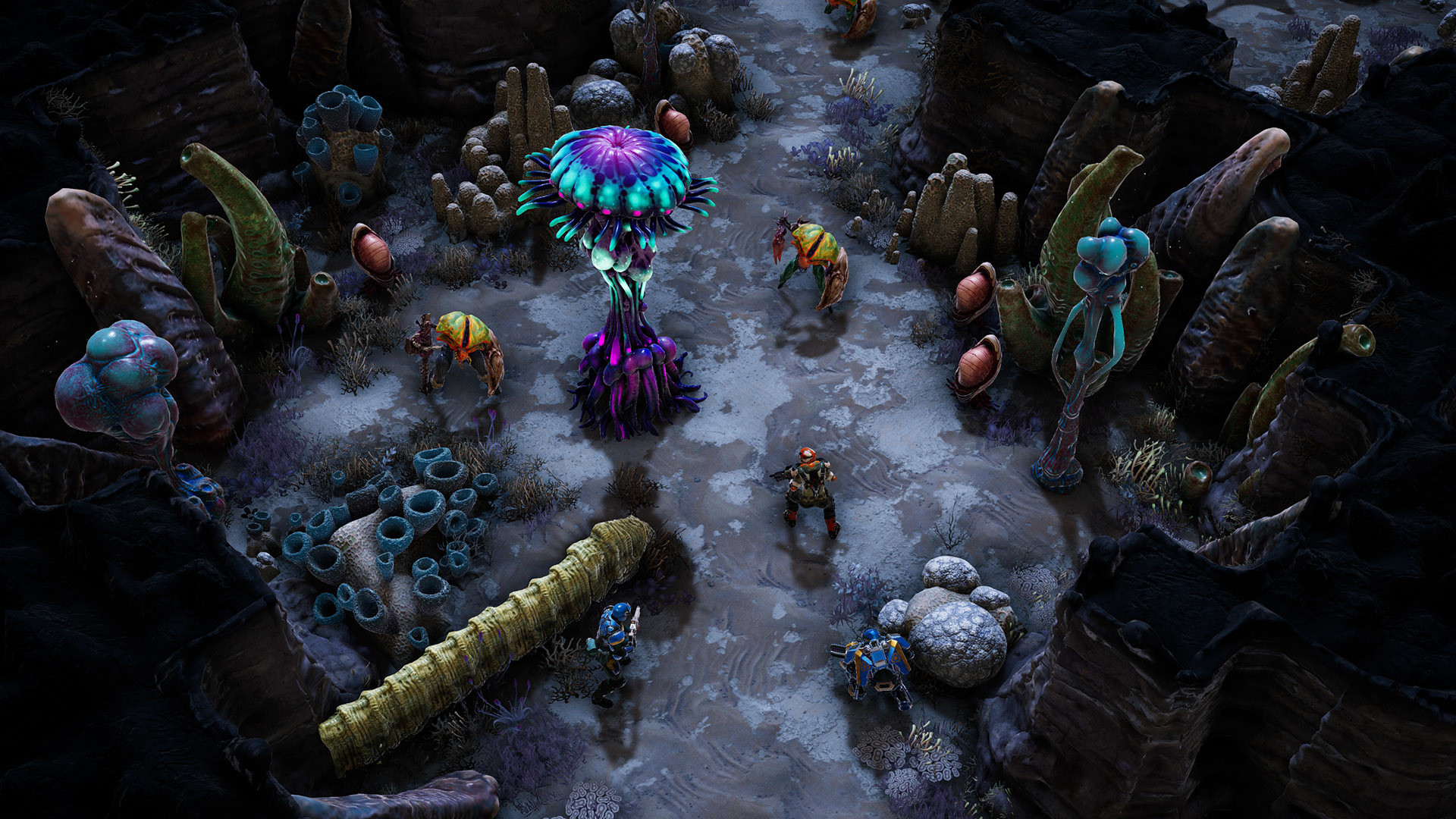 凤凰点好玩吗 凤凰点玩法简介