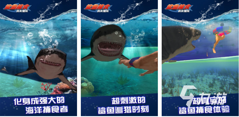 受欢迎的鲨鱼游戏下载排行 人气较高的鲨鱼游戏盘点2025