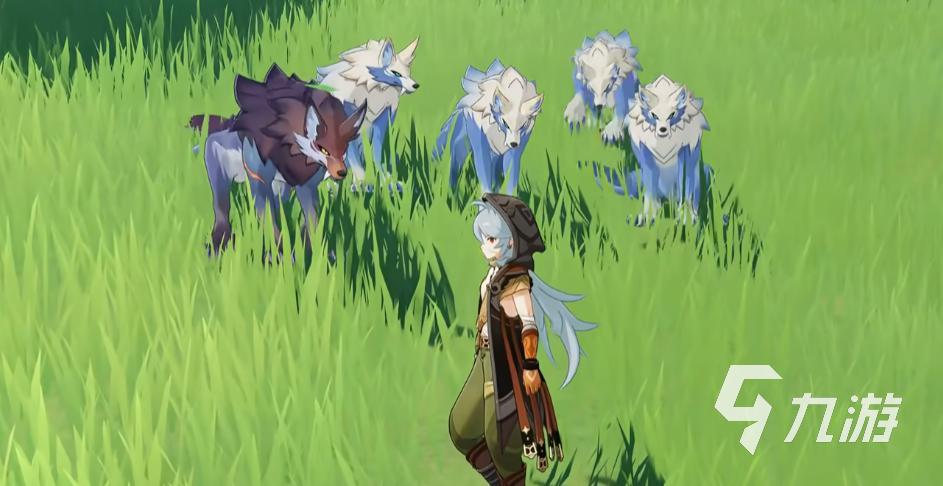 原神在哪里能找到狼 原神6.2新生物狼位置介绍