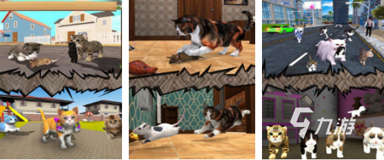 一个屋子里养猫的游戏是什么有趣的养猫手游下载合集2025
