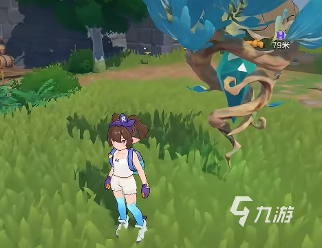 洛克王国世界酷拉果实有什么用 洛克王国世界果实位置一览