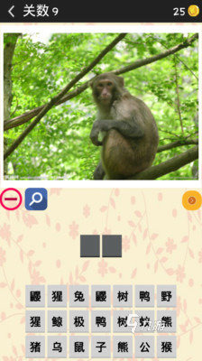 趣味猜动物游戏合集推荐 2025好玩的猜动物游戏有哪些