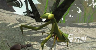 2025热门蚂蚁进化3D小游戏推荐：高人气蚂蚁主题生存冒险游戏排行榜