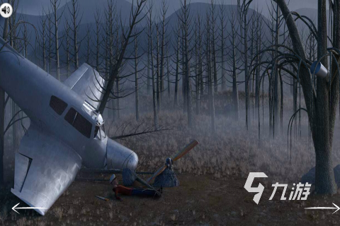 2025年开局飞机坠毁的生存游戏推荐：高口碑硬核生存体验合集