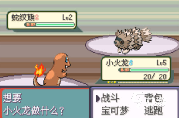 2025年最值得玩的宝可梦手游推荐:热门高人气宝可梦手机游戏大盘点