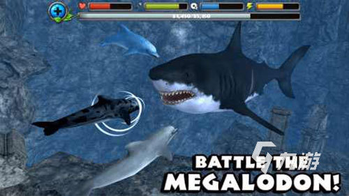 2025年最受欢迎的五款海豚主题手机游戏推荐