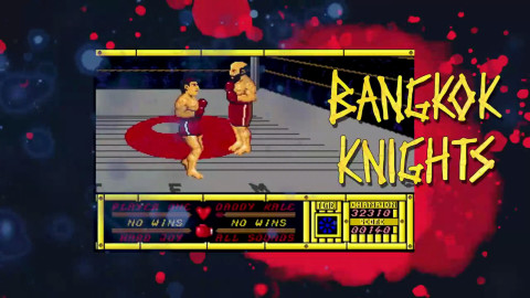 最后的忍者合集截图4