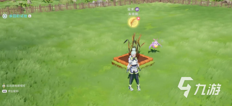 伊莫种菜怎么玩 伊莫种菜玩法介绍