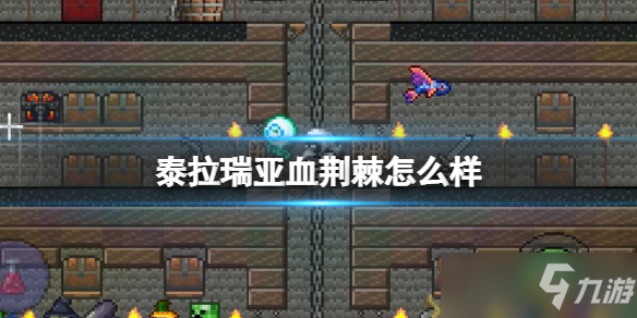 《泰拉瑞亚》血荆棘武器介绍 血荆棘怎么样