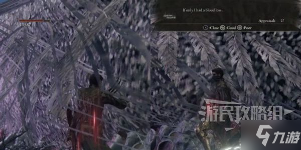 《艾尔登法环》老龙位置与击杀奖励介绍 老龙在哪