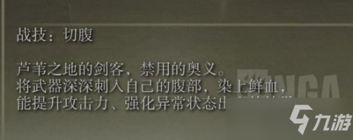 艾尔登法环盾牌长枪戳刺流装备搭配介绍