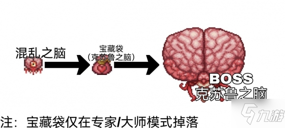 《泰拉瑞亚》战士毕业饰品有推荐吗 毕业饰品推荐及收集方式