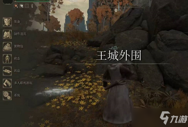 艾尔登法环王城内部进入方法