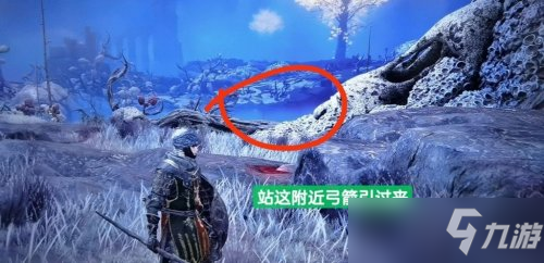 艾尔登法环死亡仪式鸟逃课打法技巧攻略