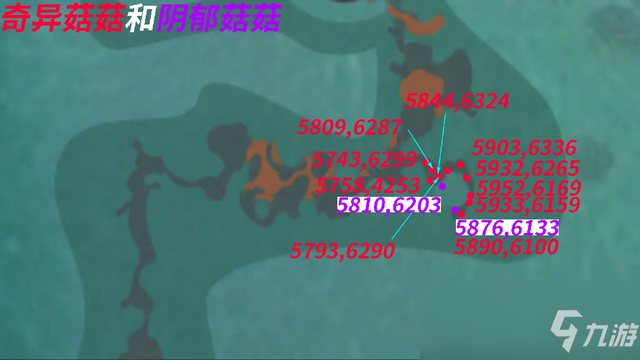 创造与魔法奇异菇菇多久刷新