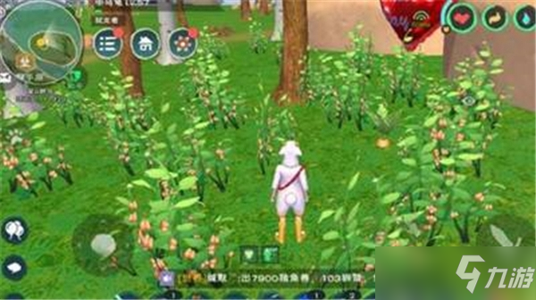 創(chuàng)造與魔法紅豆蓮子羹怎么做