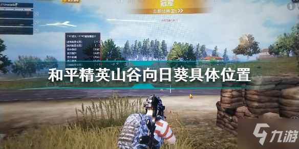 《和平精英》山谷向日葵具体位置 山谷向日葵在哪