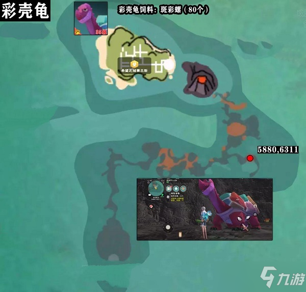 创造与魔法彩壳龟饲料配方是什么