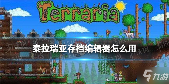 《泰拉瑞亚》存档编辑器用法攻略 存档编辑器怎么用