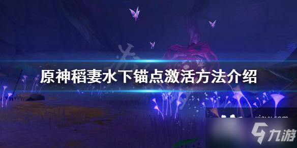 《原神》稻妻水下锚点激活方法介绍 稻妻水下锚点怎么解锁