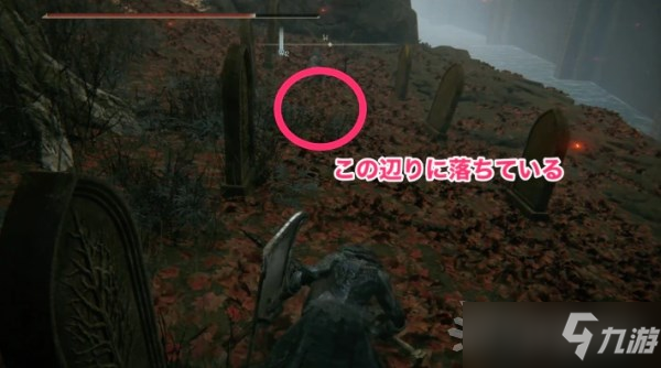 《艾尔登法环》灵依墓地铃兰获取方法分享 灵依墓地铃兰如何获取？