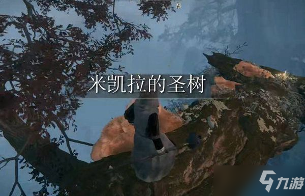 艾尔登法环圣树路线介绍