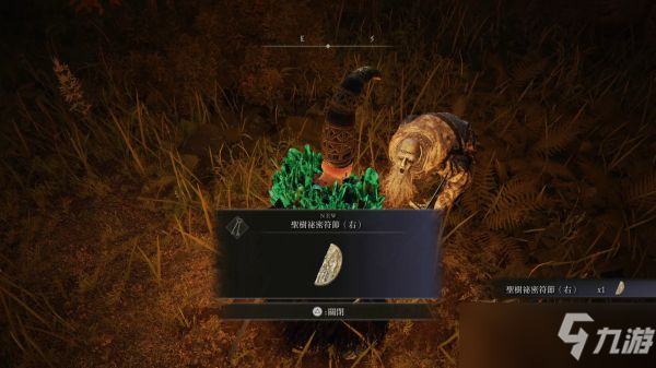 《艾尔登法环》白金之子支线详细完成步骤