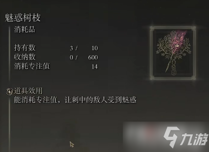 《艾尔登法环》白金魔法师塔进入教程