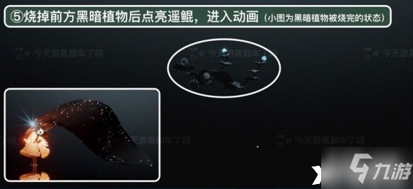 《光遇》潜海季季节任务五怎么做