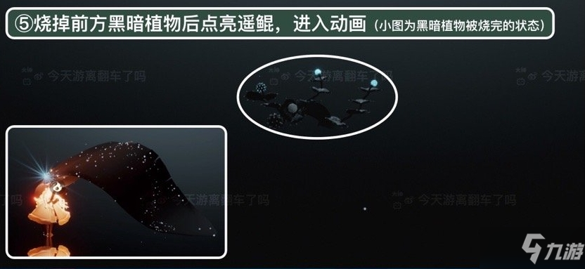 《光遇》潜海季季节任务五怎么做 潜海季任务五攻略