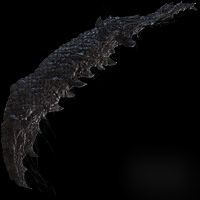 《艾尔登法环》全专用战技武器强度评析