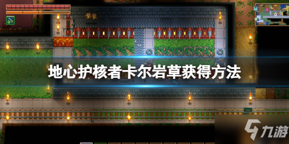 《地心护核者》卡尔岩草怎么种
