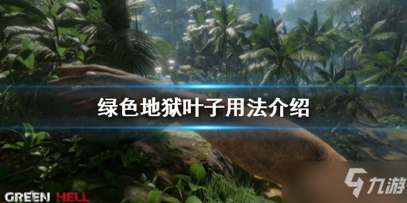 《丛林地狱》叶子有什么用？叶子用法介绍