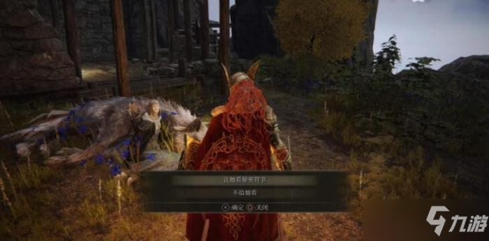 《艾尔登法环》白金之子缇勒娜支线任务完成方法