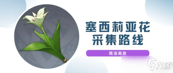 《原神》塞西莉亚花采集路线分享