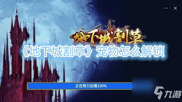 《地下城割草》宠物怎么解锁