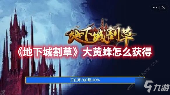 地下城割草大黄蜂配什么武器好 大黄蜂最强武器搭配推荐