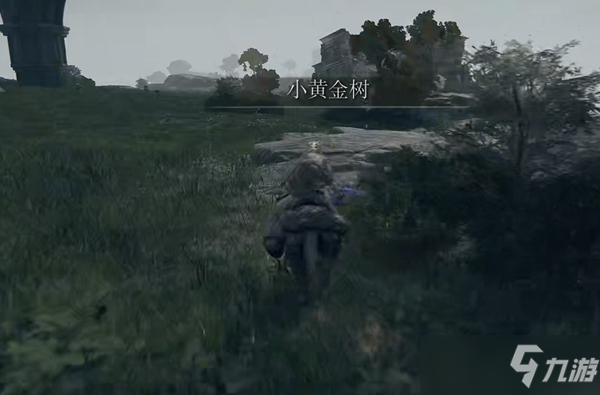 艾尔登法环日蚀纹熨斗形盾在哪