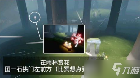 光遇2022年花憩节赏花任务攻略：全图赏花任务位置大全[多图]