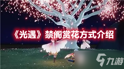 《光遇》禁阁赏花方式介绍
