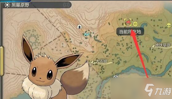 阿尔宙斯太阳伊布在哪抓
