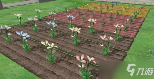 《小森生活》种花玩法推荐