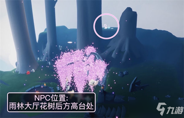 《光遇》2022花憩节起止时间 花憩节几点开始