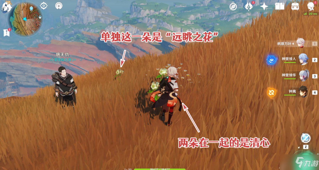 《原神》岩巅大侠往事任务攻略 岩巅大侠往事任务流程