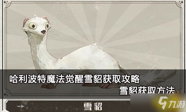 《哈利波特魔法觉醒》雪貂获得攻略 雪貂获取方法分享