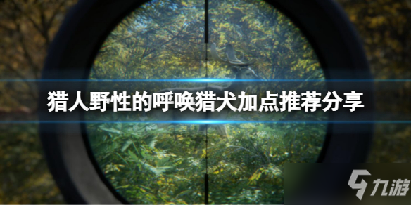 《猎人野性的呼唤》猎犬怎么加点？猎犬加点推荐分享