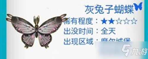 摩尔庄园灰兔子蝴蝶在哪？